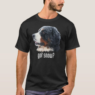 Camiseta ¿nieve conseguida? Ropa oscura