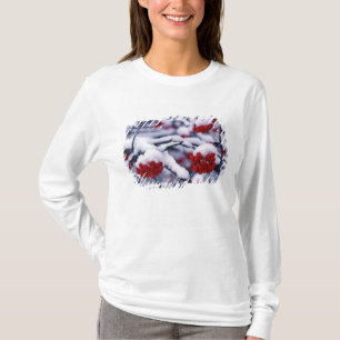 Camiseta Nieve en bayas de fresno de montaña europeo, Utah.