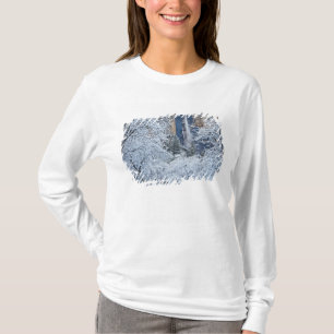 Camiseta Nieve fresca en los árboles debajo de Bridalveil