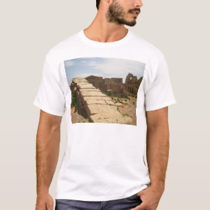 Camiseta Nilometer, del mortuorio