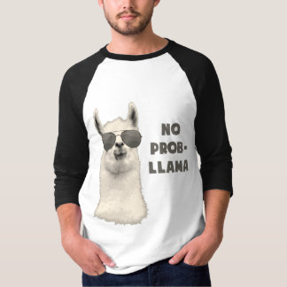 Camiseta Ninguna llama del problema