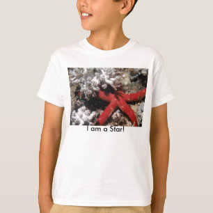 Camiseta Niño de la estrella