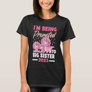 Camiseta Niños a los que estoy ascendiendo a grandes herman
