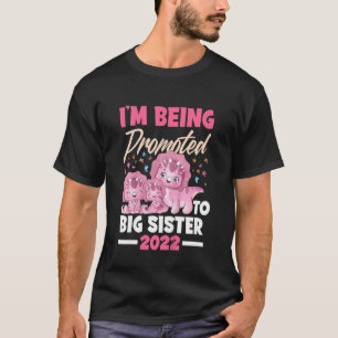 Camiseta Niños a los que estoy ascendiendo a grandes herman