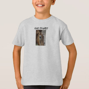 Camiseta ¿Niños, conseguidos el proyecto?
