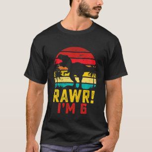 Camiseta Niños Rawr Tengo 6 Dinosaurios 6 años Rex