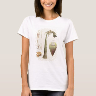 Camiseta No. 10 del Ensete, atribuido antes a James Bruce