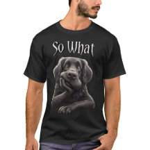 No detengan a dachshund, propietario del perro.