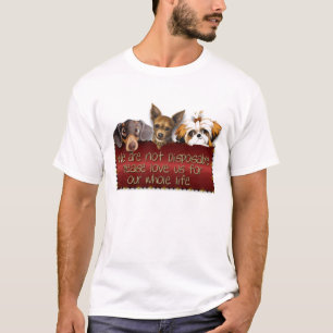 Camiseta No disponible