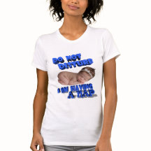 NO DISTURBE, TENGO UN NAP