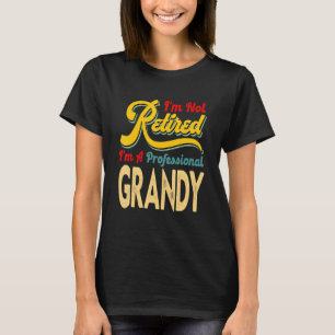 Camiseta No estoy jubilado Soy un profesor profesional del