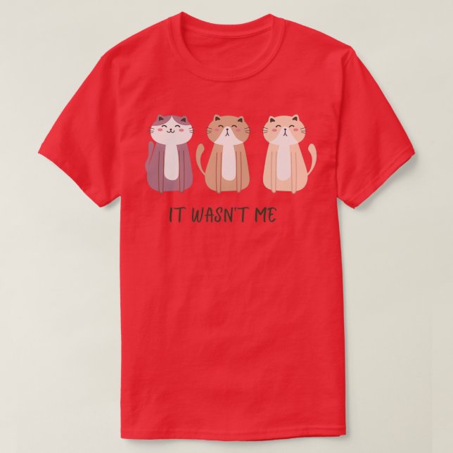 Camiseta No fui yo 2 (Diseño del anverso)