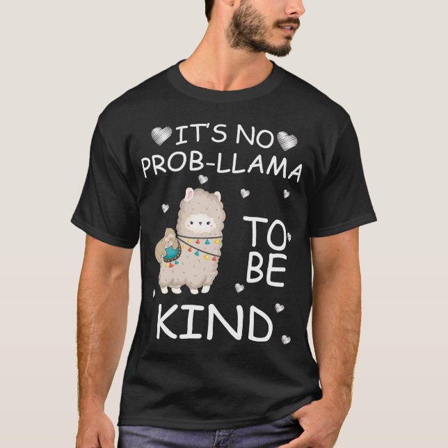 Camiseta no hay problema para ser amable. (Anverso)