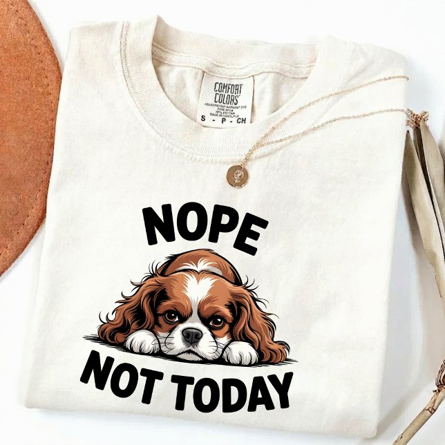 Camiseta No Hoy Meme Divertido de Pug Perro (Subido por el creador)