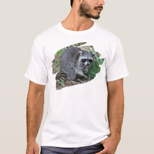 Camiseta No Me Molestes. Solo Paso Por Aquí