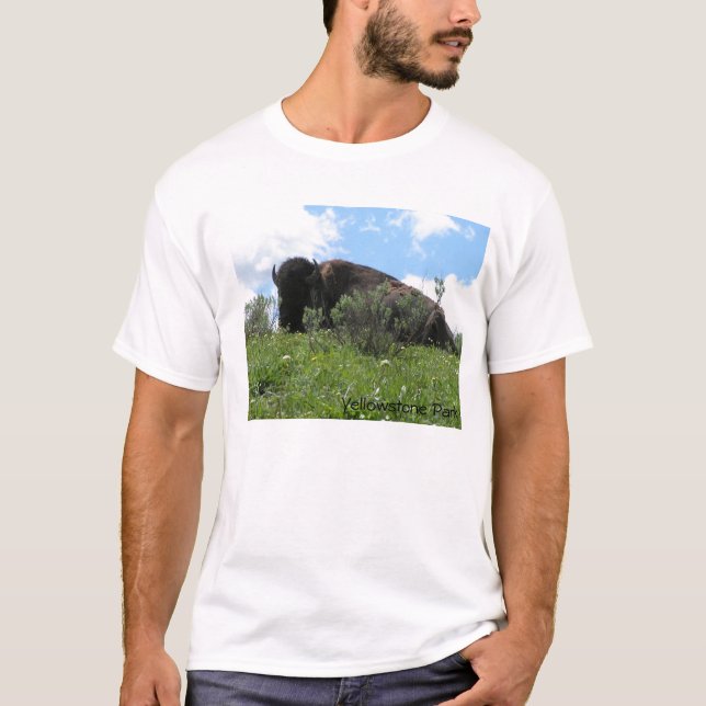 Camiseta No perturbe (Anverso)