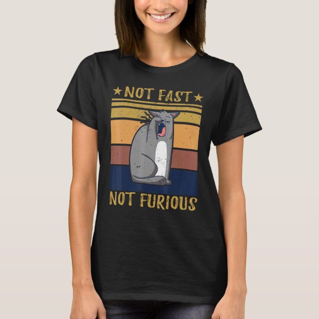 Camiseta No rápido, no es un gato curioso (Anverso)