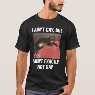 Camiseta No soy gay pero no soy exactamente un meme de gato
