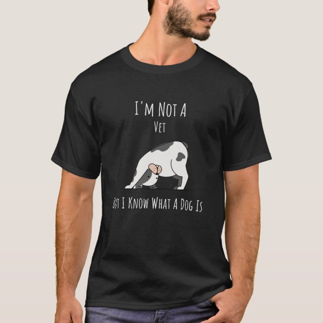 Camiseta No soy un veterinario pero sé lo que es un perro (Anverso)