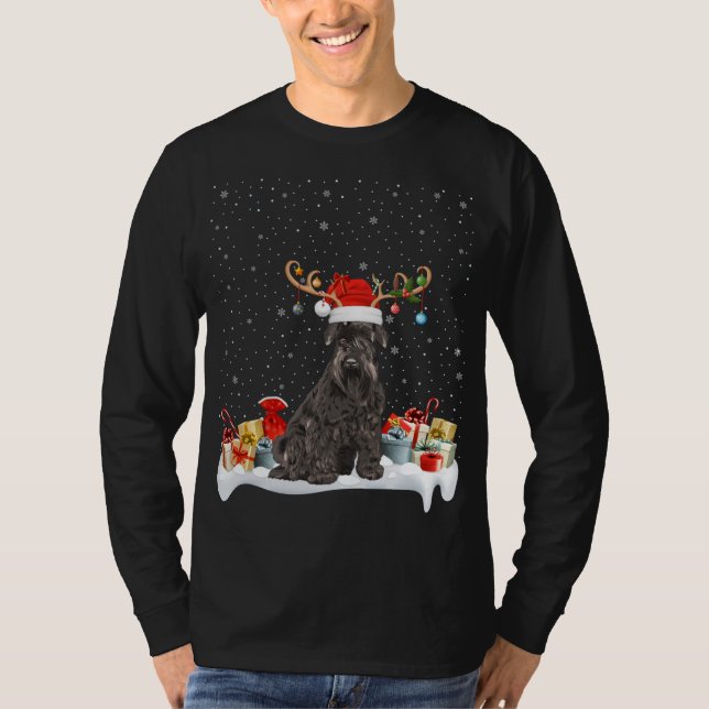 Camiseta Noches divertidas iluminando reno Santa Hat Schnau (Anverso)