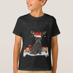 Camiseta Noches divertidas iluminando reno Santa Hat Schnau