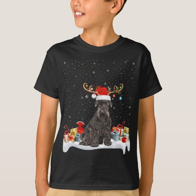 Camiseta Noches divertidas iluminando reno Santa Hat Schnau (Anverso)