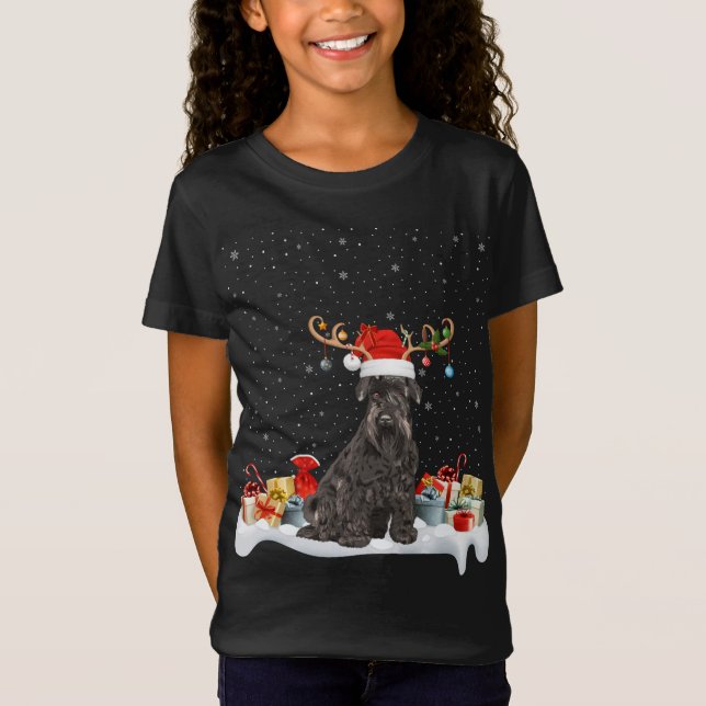 Camiseta Noches divertidas iluminando reno Santa Hat Schnau (Anverso)