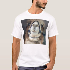 Camiseta NoesNoToes
