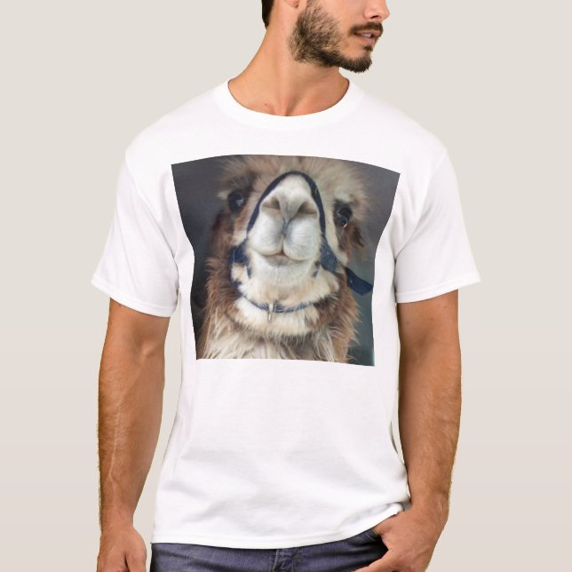Camiseta NoesNoToes (Anverso)