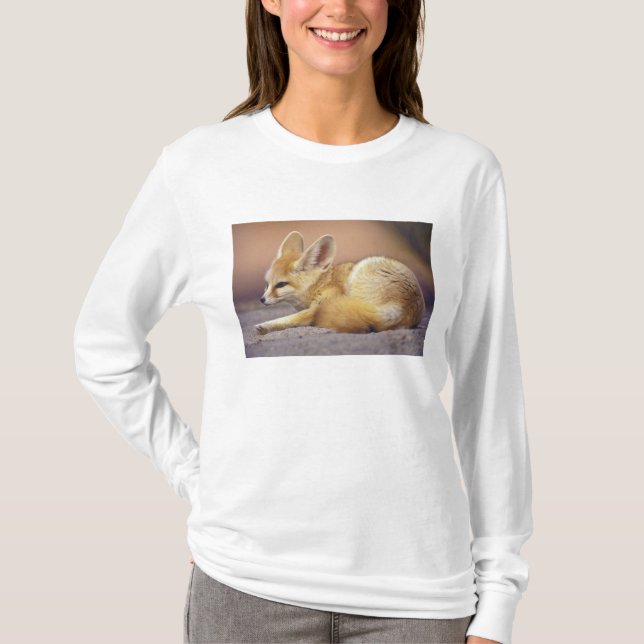 Camiseta Norte de África. Fenec (Fennecus zerda) (Anverso)