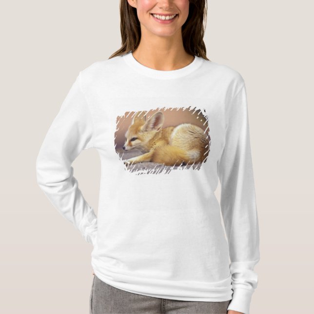 Camiseta Norte de África. Fennec Fennecus zerda) (Anverso)