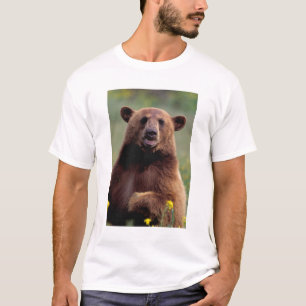 Camiseta Norteamérica, California, oso negro de canela
