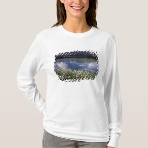 Camiseta Norteamérica, Canadá, Alberta, Banff Nacional