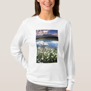 Camiseta Norteamérica, Canadá, Alberta, Banff Nacional 2