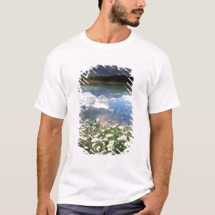 Camiseta Norteamérica, Canadá, Alberta, Parque Nacional Ban