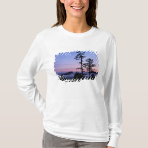 Camiseta Norteamérica, Canadá, Isla de Vancouver, árboles