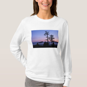 Camiseta Norteamérica, Canadá, Isla de Vancouver, árboles