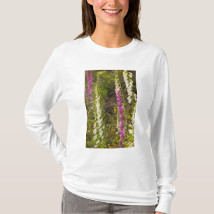 Camiseta Norteamérica, Canadá, Islas de la Reina Carlota, 2