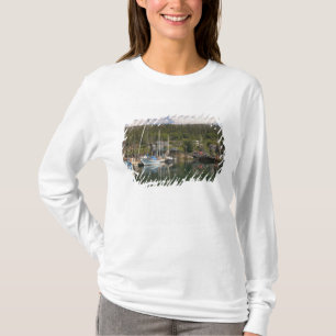 Camiseta Norteamérica, Canadá, Islas de la Reina Carlota, 4