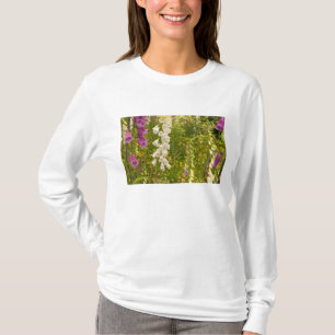 Camiseta Norteamérica, Canadá, Islas de la Reina Carlota, 5