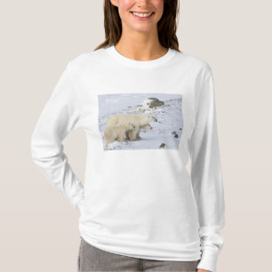 Camiseta Norteamérica, Canadá, Manitoba, Churchill. 4