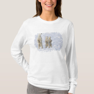Camiseta Norteamérica, Canadá, Manitoba, Churchill. 5