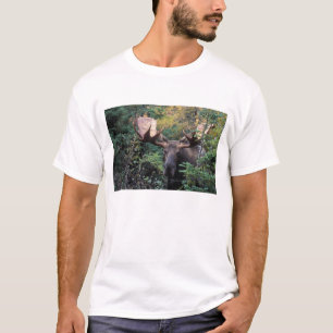 Camiseta Norteamérica, Canadá, Nueva Escocia, Cabo Bretón