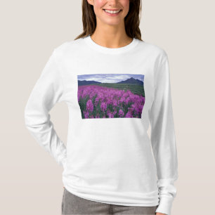 Camiseta Norteamérica, Canadá, Yukon. Epilobio florece