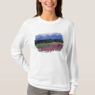 Camiseta Norteamérica, Canadá, Yukón. Epilobio florece