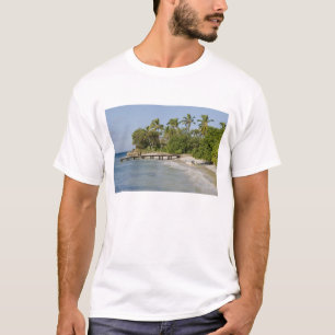 Camiseta Norteamérica, Caribe, República Dominicana.