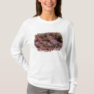 Camiseta Norteamérica, EE. UU., Alaska, Delta del Yukón Nac