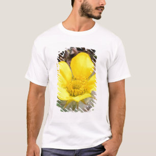 Camiseta Norteamérica, EE. UU., Alaska, Denali Nacional