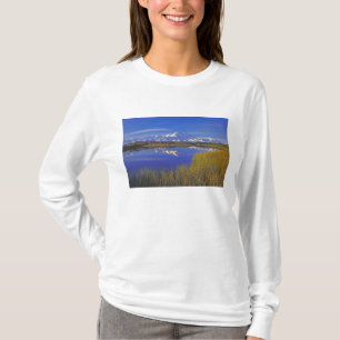Camiseta Norteamérica, EE. UU., Alaska, Denali NP,