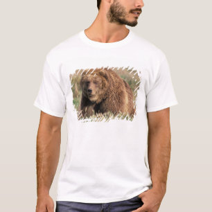 Camiseta Norteamérica, EE. UU., Alaska, Isla Kodiak,